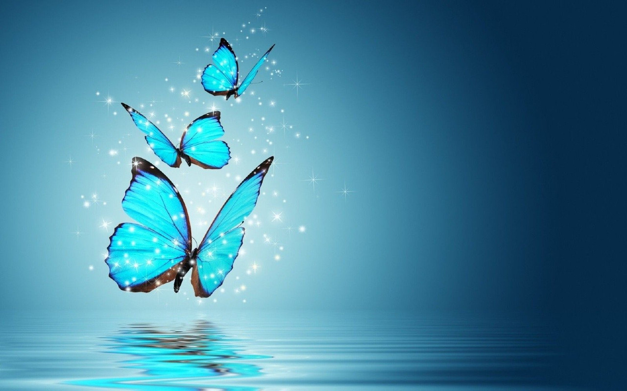 turquoisebutterflies.jpg