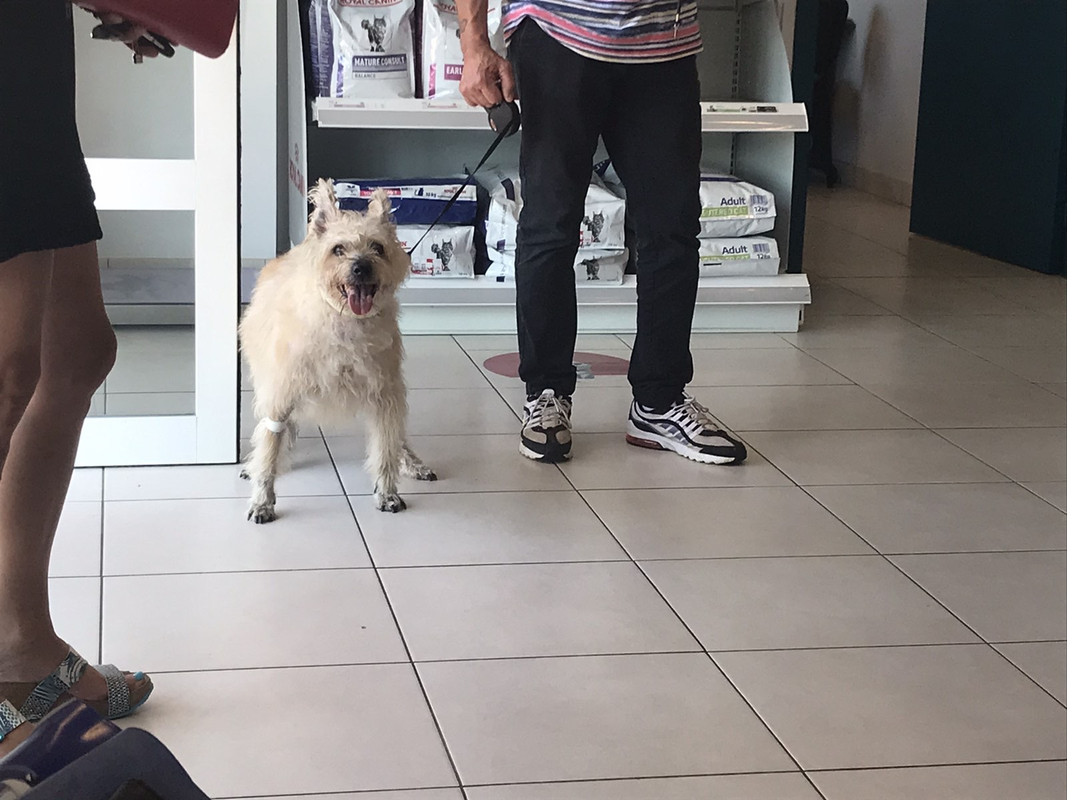 B37E2F7D-785D-412E-A8DF-F1D9DBDAC79D