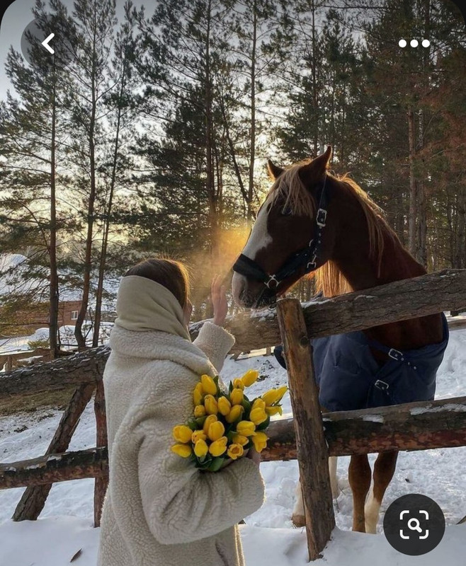 Screenshot_20230531_225548_Pinterest