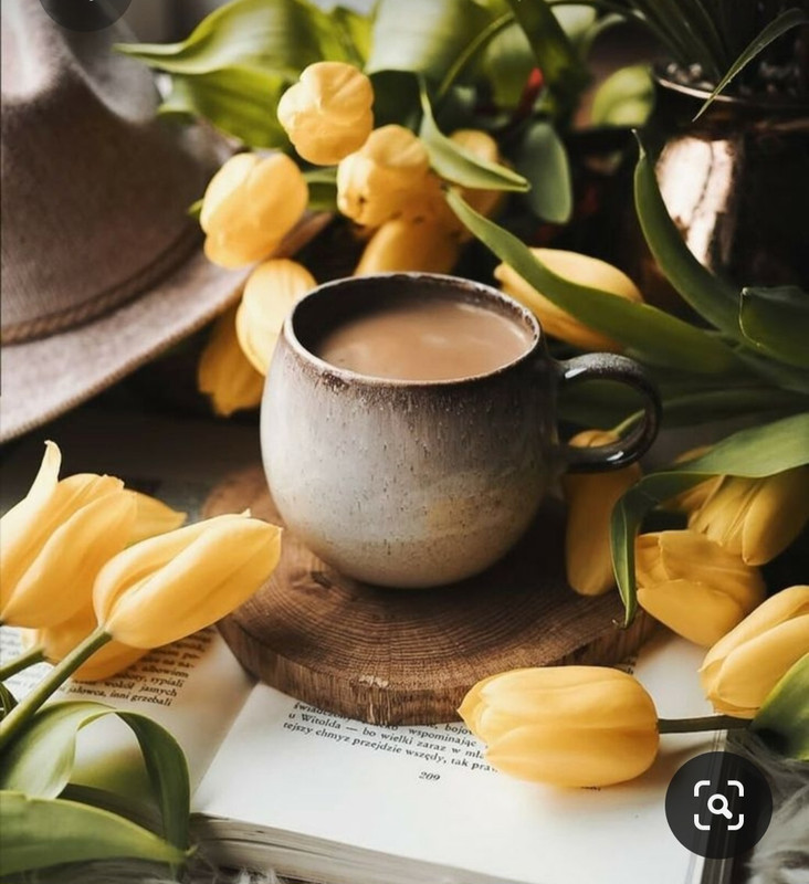 Screenshot_20230717_220752_Pinterest