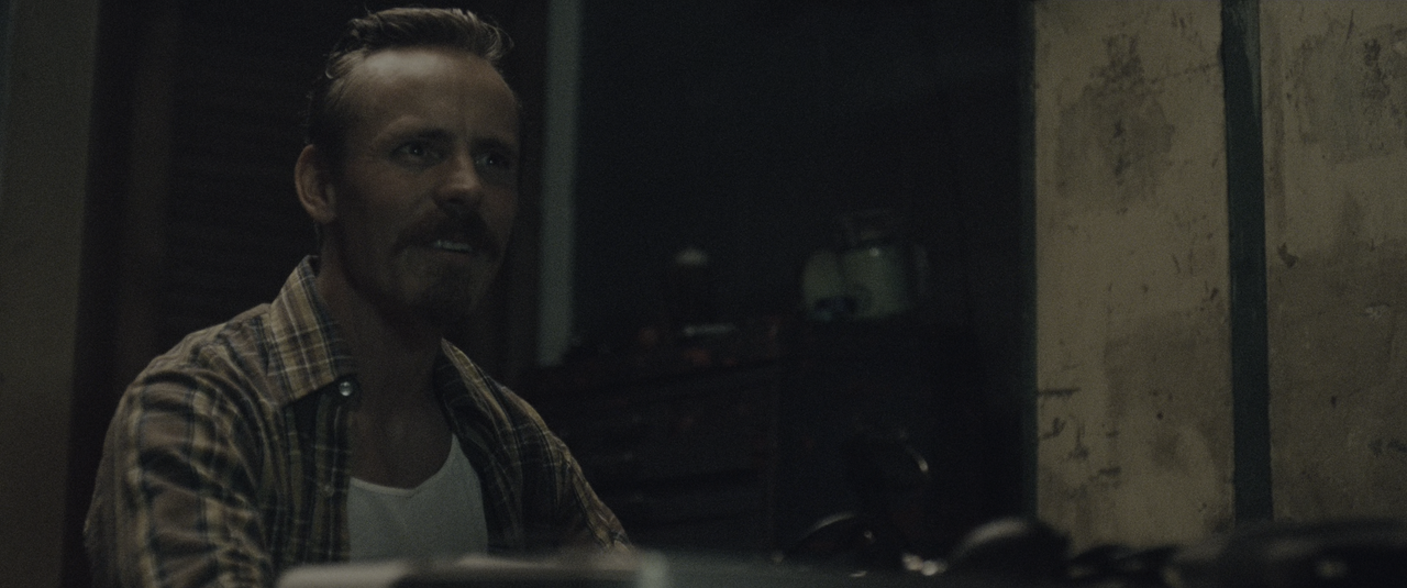 BlacKkKlansman (2018) Rip 2160p HEVC 10bit-HDR ITA-ENG DD AC3-SU