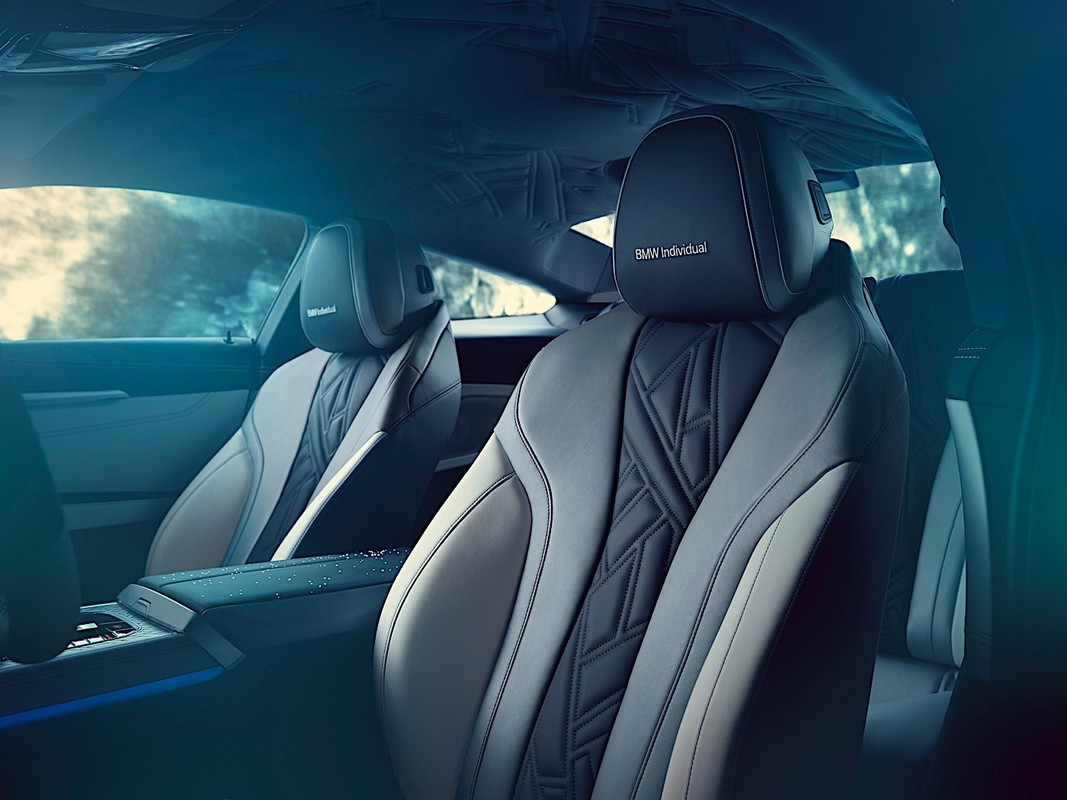 BMW M850i Individual Night Sky (3)
