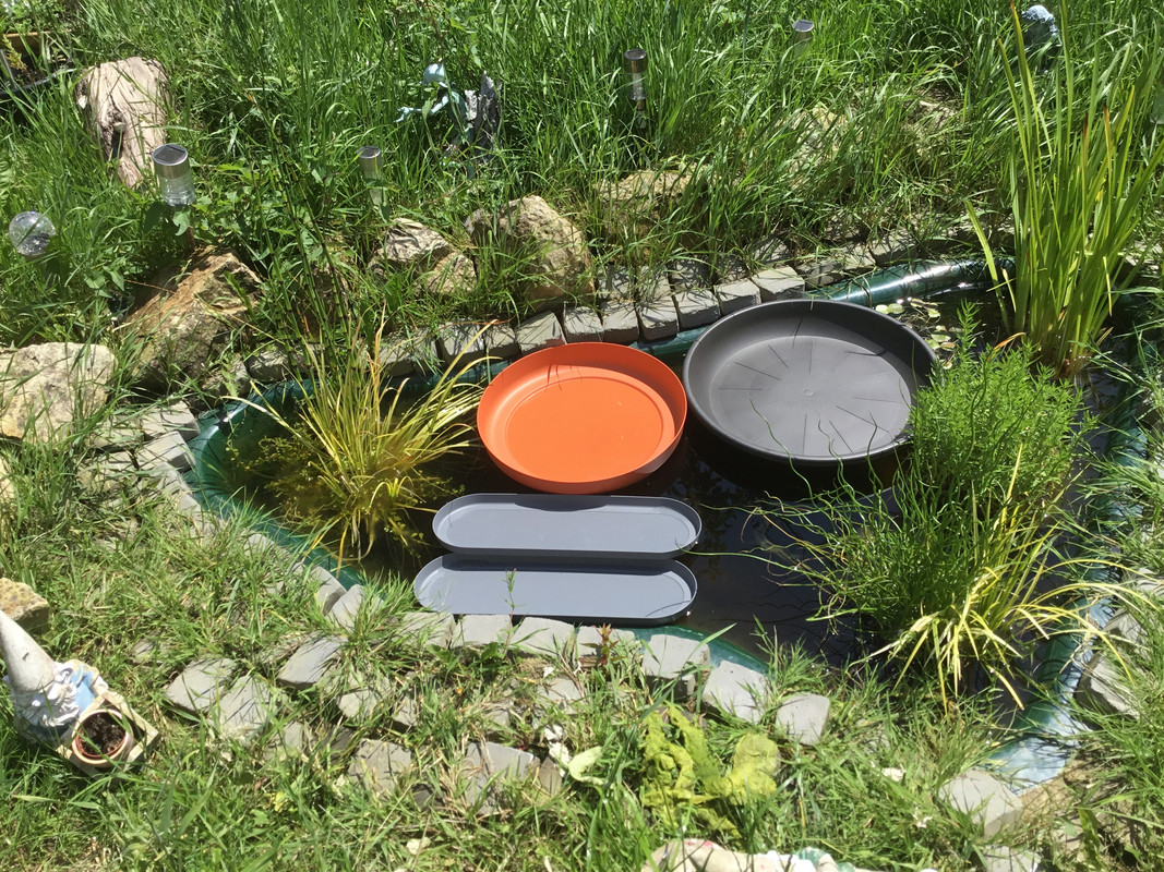 59554E5A-54B5-4DF9-89E9-DEA469A22B87