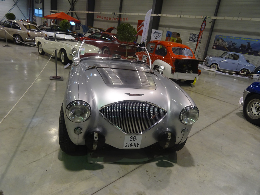 AUSTIN HEALEY BN 2 Roadster de 1956 [303] (a)