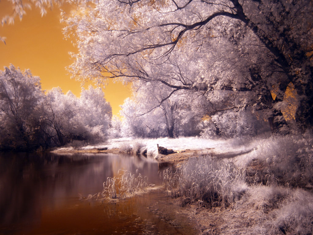Drava Nard