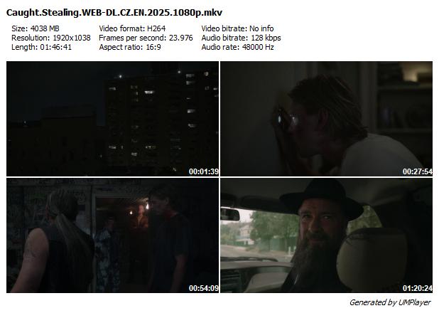 Život v hajzlu / Caught Stealing (2025)