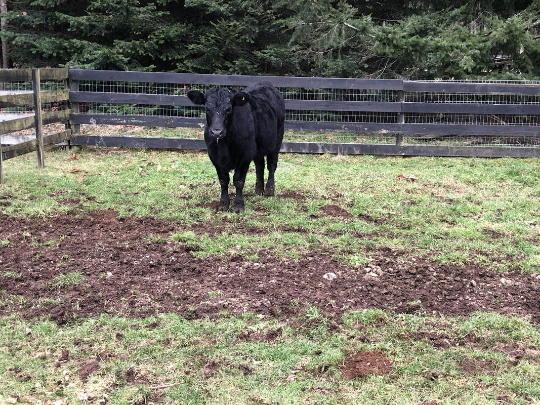 D4D6FAEF-EFBA-47EB-A61C-7C49467186AF