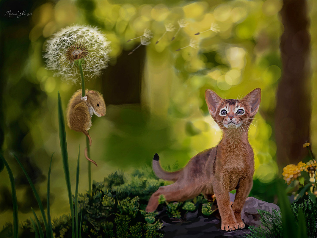 Меня зовут одуванчик !