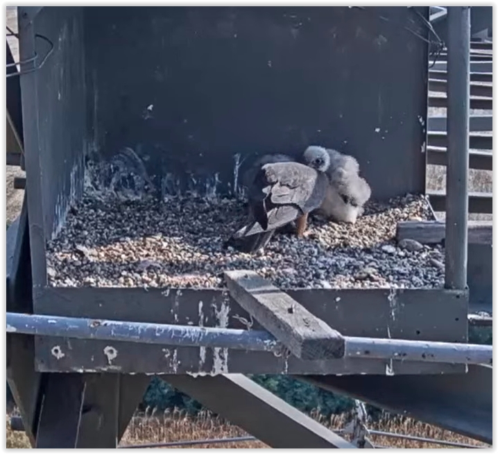 Screen Shot 07-30-22 at 08.56 AM