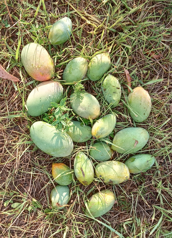 IMG_20240530_183627251_HDR~2