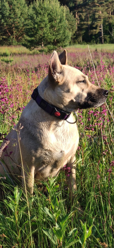 1643EF63-BB75-4C94-95BF-D978754F81B3