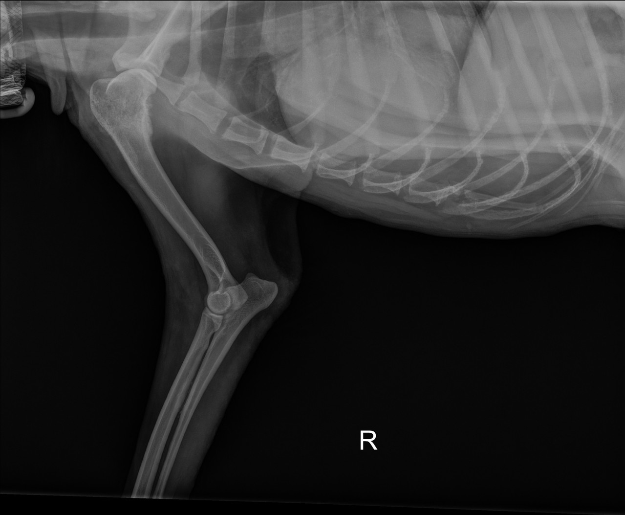 1 2 840 1136982026020509290299464 19