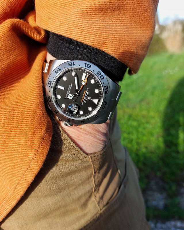 Feu de vos Dual Time - GMT - Worldtimer - tome II - Page 9 IMG-20221125-201127-161