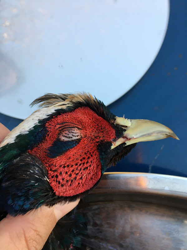 9492B08E-1040-40CE-BE4C-7A8AD6788824