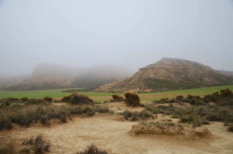 Navarra y sus pueblos-2015 - Blogs de España - Las Bárdenas Reales-15-11-2015 (48)