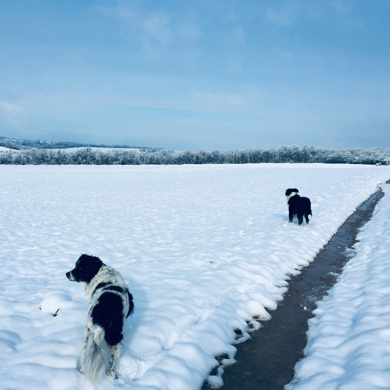 B58B65D8-C961-4FD3-AE91-356D5DF1E70B