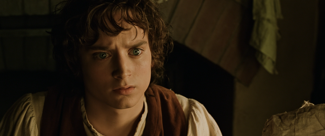 The Lord of the Rings The Fellowship of the Ring (2001) EXTENDED (1080p Bluray AV1 Opus) [NeoNyx343]