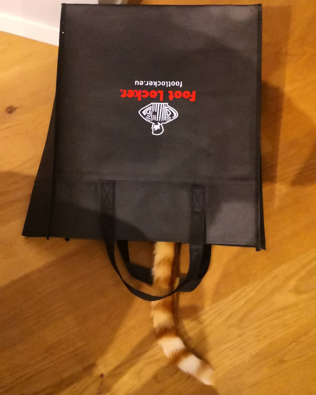 IMG_20220407_202319_792