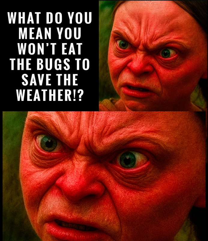 538912533_1172377788033873_2615524502554948477_n