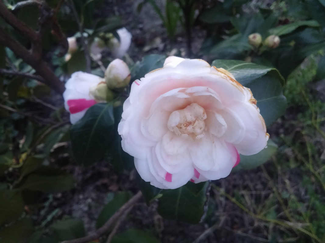 20190310_181405