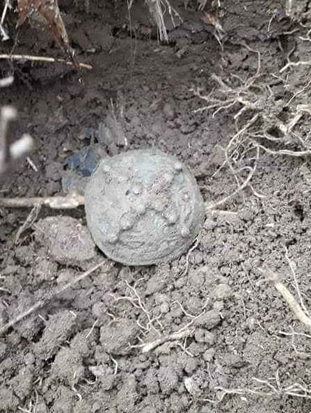 FB_IMG_1542092765839__01