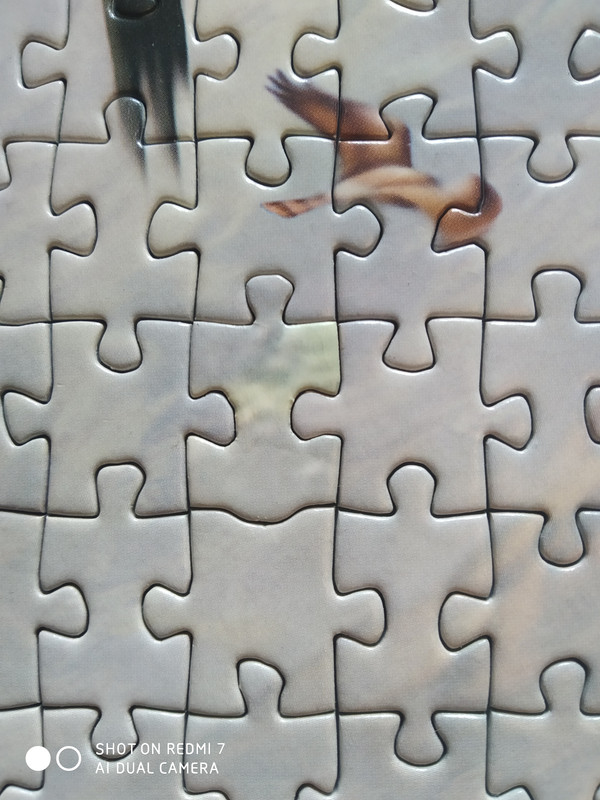 IMG_20210207_130025(1)