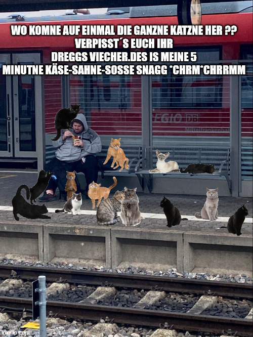 k-se.jpg