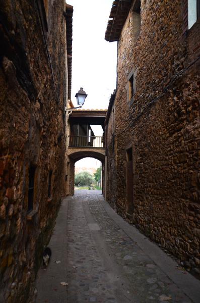 VULPELLAC-21-11-2017 - Gerona y sus pueblos-2016/2017 (8)