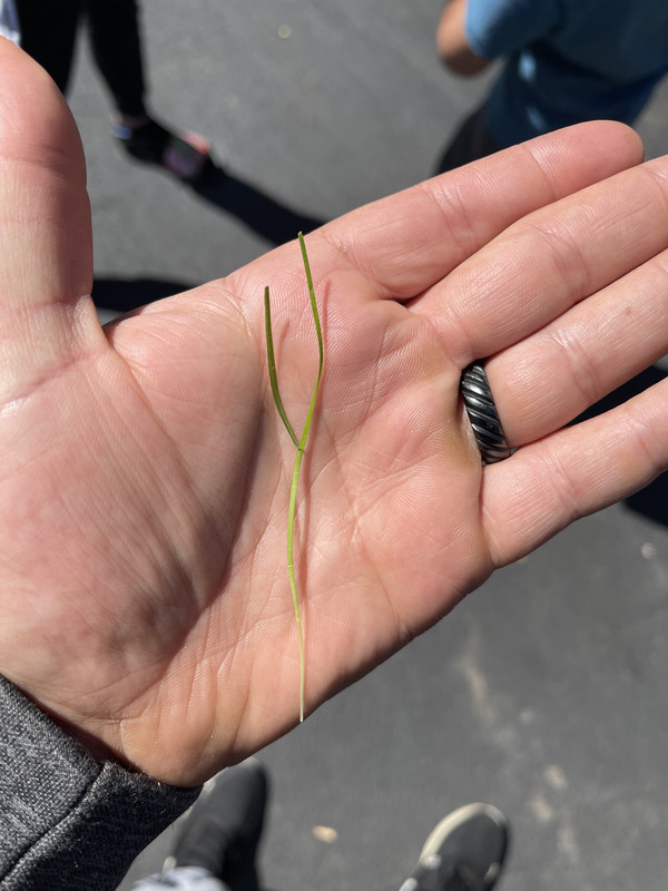 A1504B4F-DA3C-4AE1-963C-4A49608A4B3B