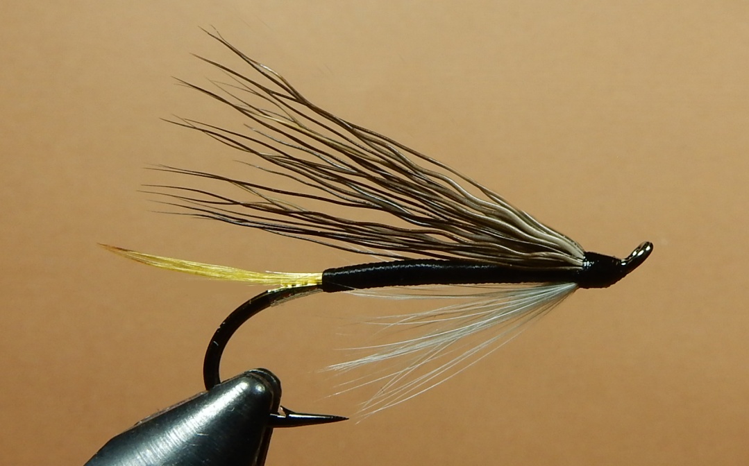 Ches-s-Black-Fly-1080.jpg