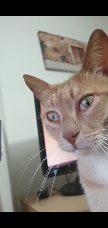 Screenshot_20220527-192206_WhatsApp