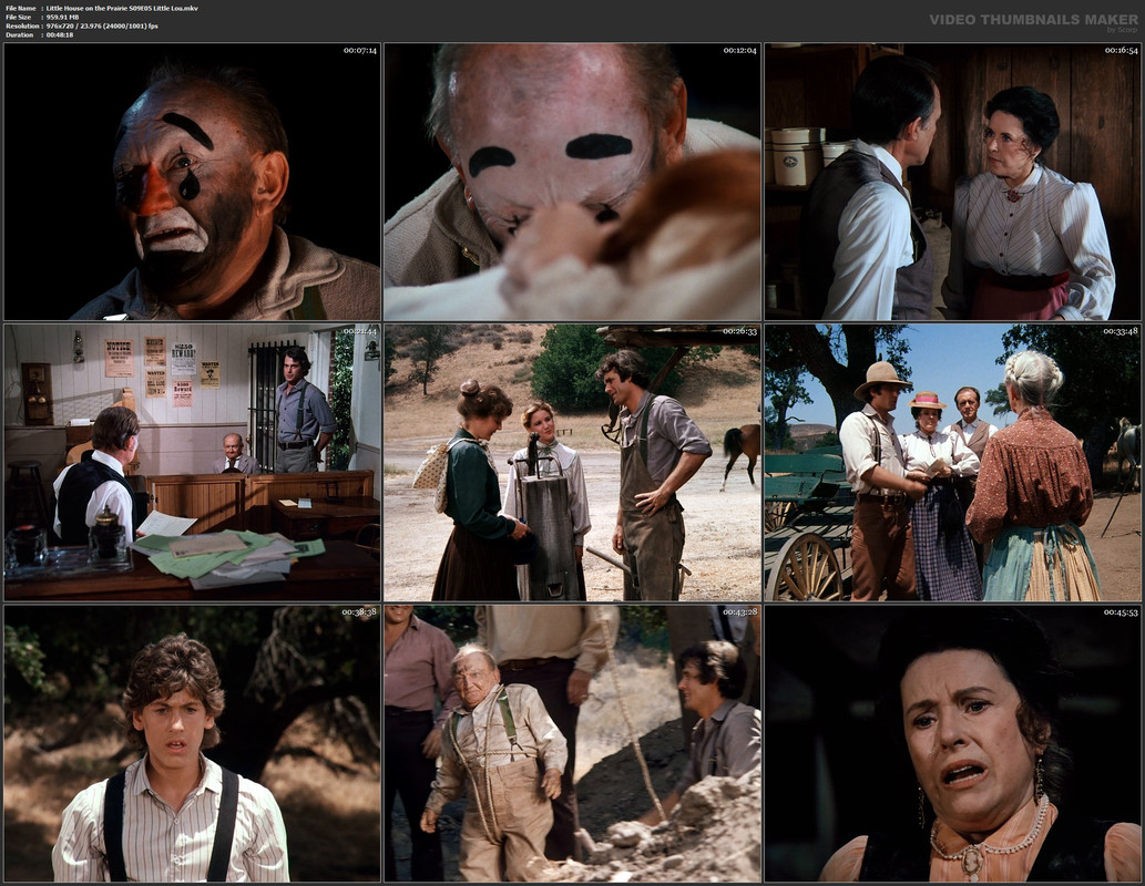 Little House on the Prairie S09E05 Little Lou.mkv