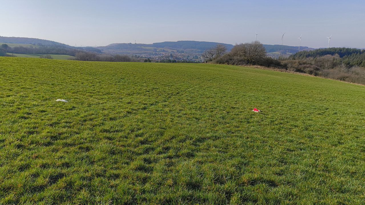 IMG 20260308 095022574