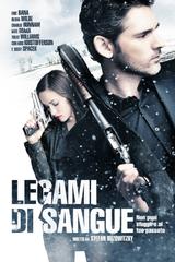Legami di sangue - Deadfall  (2012).mkv BDRip 576p x264 AC3 iTA-ENG