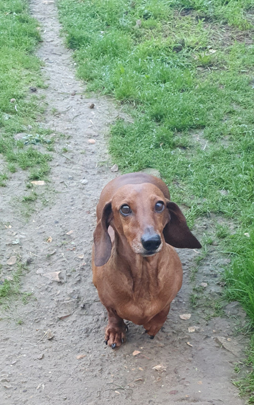 [Image: 20221127-160620.jpg]