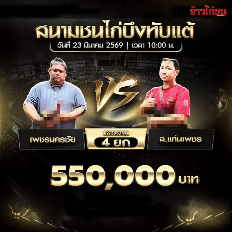 เพชรนครชัย พบ ส.แก่นเพชร โปรแกรมไก่ชน สนามบึงทับแต้