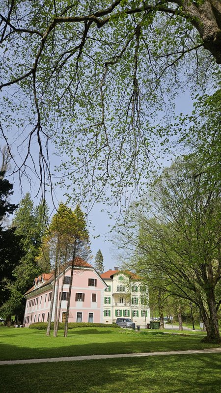 Slika