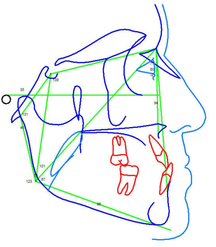 Whats App Image 2026 03 05 at 20 43 55 (4)