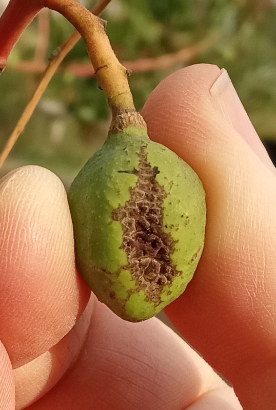 IMG_20230315_094030840~2