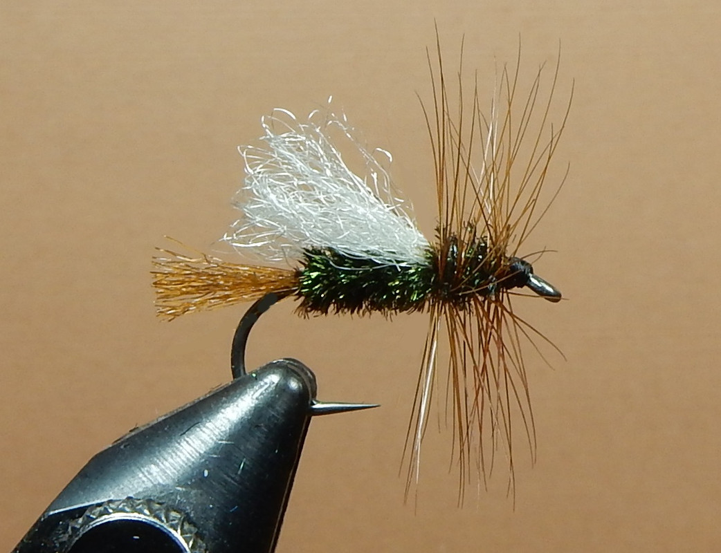 Clacka-Caddis-1080.jpg