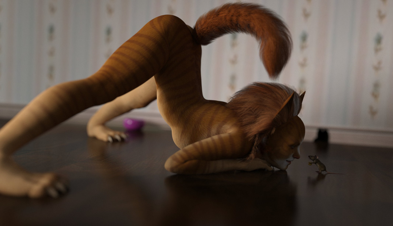 cat