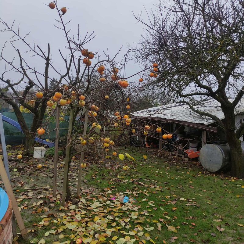 582219651 847256377693517 5751915371658244823 n