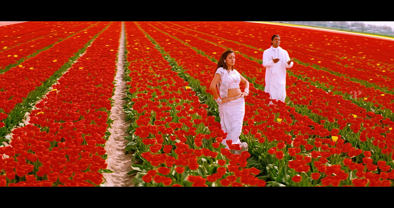 VideoCapture_20241122-195231