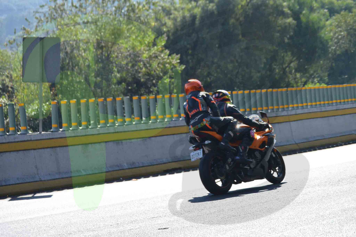 DSC_0297 (1)