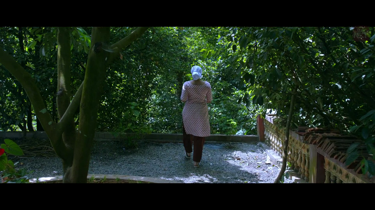 vlcsnap 2026 02 11 15h45m17s233