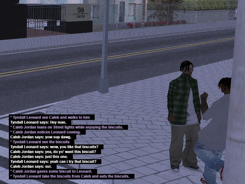 SS1.png