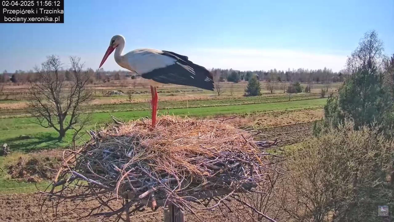 02042025krotkawizytabocka_18