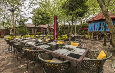 Restaurant-Setup (1040)