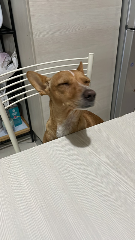 7C085813-90CF-4D8C-BD83-95D7B3DDF87B