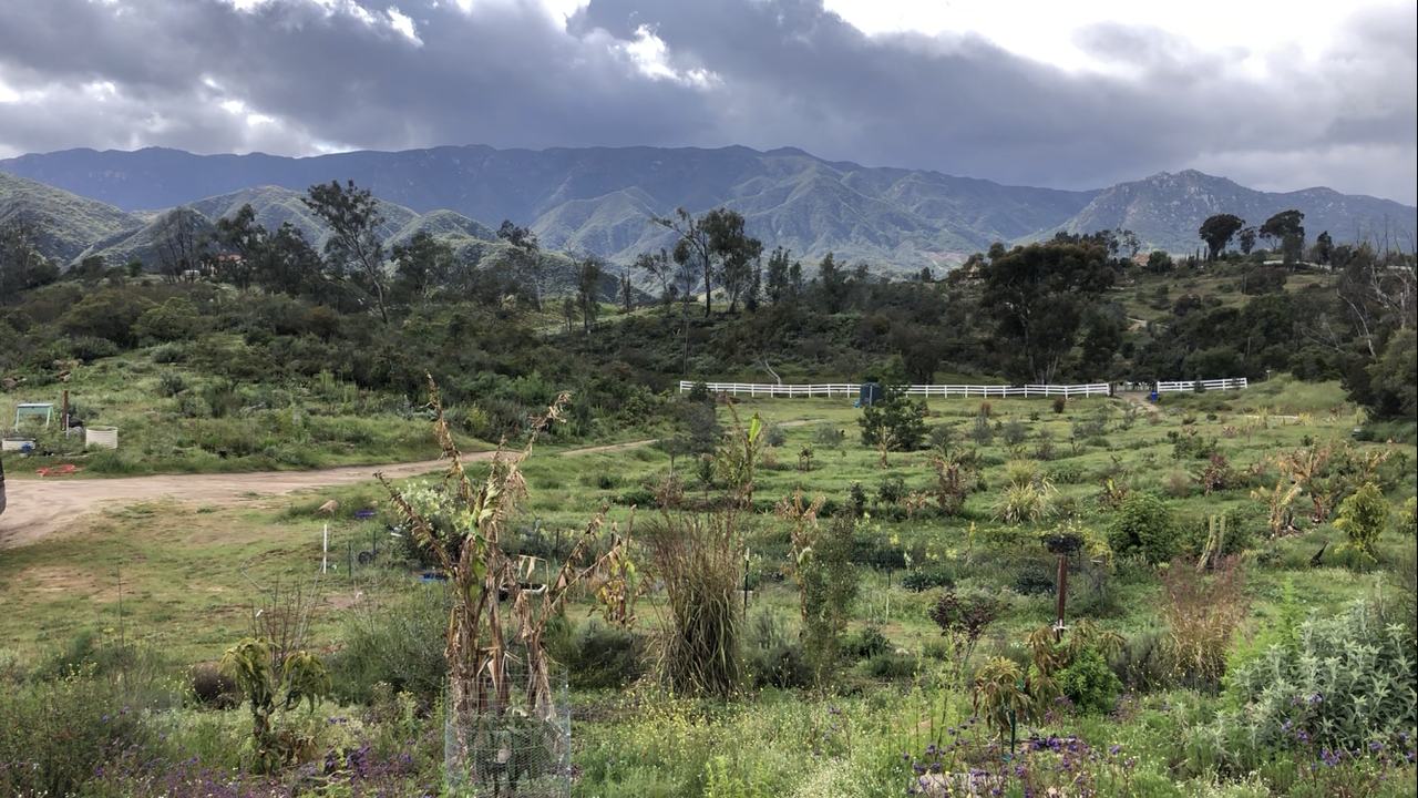 B7E19D12-8BA2-4716-BFDE-CEF0AF3C89C8